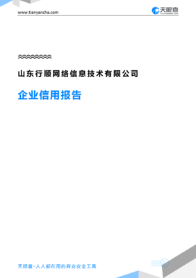 山东行顺网络信息技术有限公司企业信用报告分析